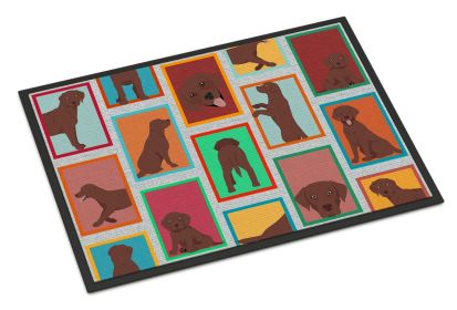 NEW Lots of Chocolate Labrador Retriever Doormat Front Door Mat Indoor Outdoor Rugs for Entryway, Non Slip Washable Low Pile, 18H X 27W