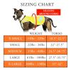 Yellow Dog Reflective S Size Hi Vis Safety Vest Keeps Dogs Visible On and Off Leash in Both Urban and Rural Environments Neon Yellow