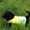 Yellow Dog Reflective S Size Hi Vis Safety Vest Keeps Dogs Visible On and Off Leash in Both Urban and Rural Environments Neon Yellow