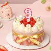Number 9 Birthday Candle 3D Number Happy Birthday Cake Candles for Birthday Party Wedding Decoration Reunions Theme Party 7cm 24pcs