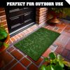 Home Entrance Green Leaves Door Mat Deluxe 17x29.5 in Absorbent Natural Rubber Non Slip Indoor Outdoor Easy Clean Beautiful Welcome Mats for Front Doo