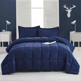 10 Piece Microfiber Reversible Comforter Set (Color: Navy, size: King)