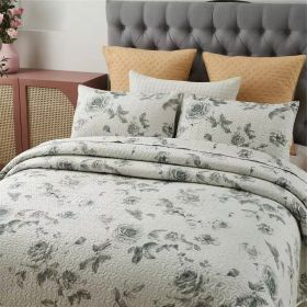 Boho Floral Botanical Flowers Beige Grey Reversible Quilt Set (size: Queen)