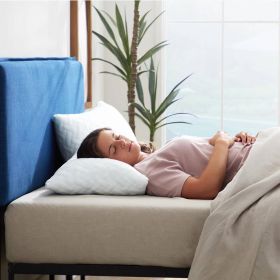 Set of 2 - Shredded Memory Foam Bed Pillows with 2 Pillowcases (size: standard)