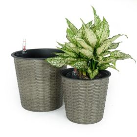 2-Pack Self-watering Wicker Decor Planter for Indoor and Outdoor - Round - Grey (Color: as Pic)