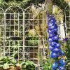 4 Pack Metal Garden Trellis 86.7" x 19.7" Rustproof Trellis for Climbing Plants Outdoor Flower Support