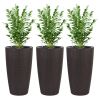 Indoor/Outdoor Modern The appearance is made of imitation rattan Design Planter